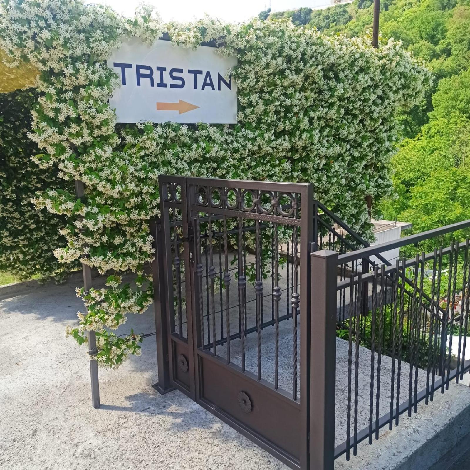 Tristan Apartment